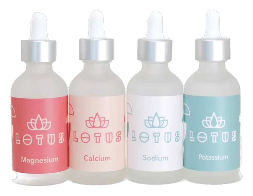 Lotus Lotus Water — Coffee Brew Water Kit